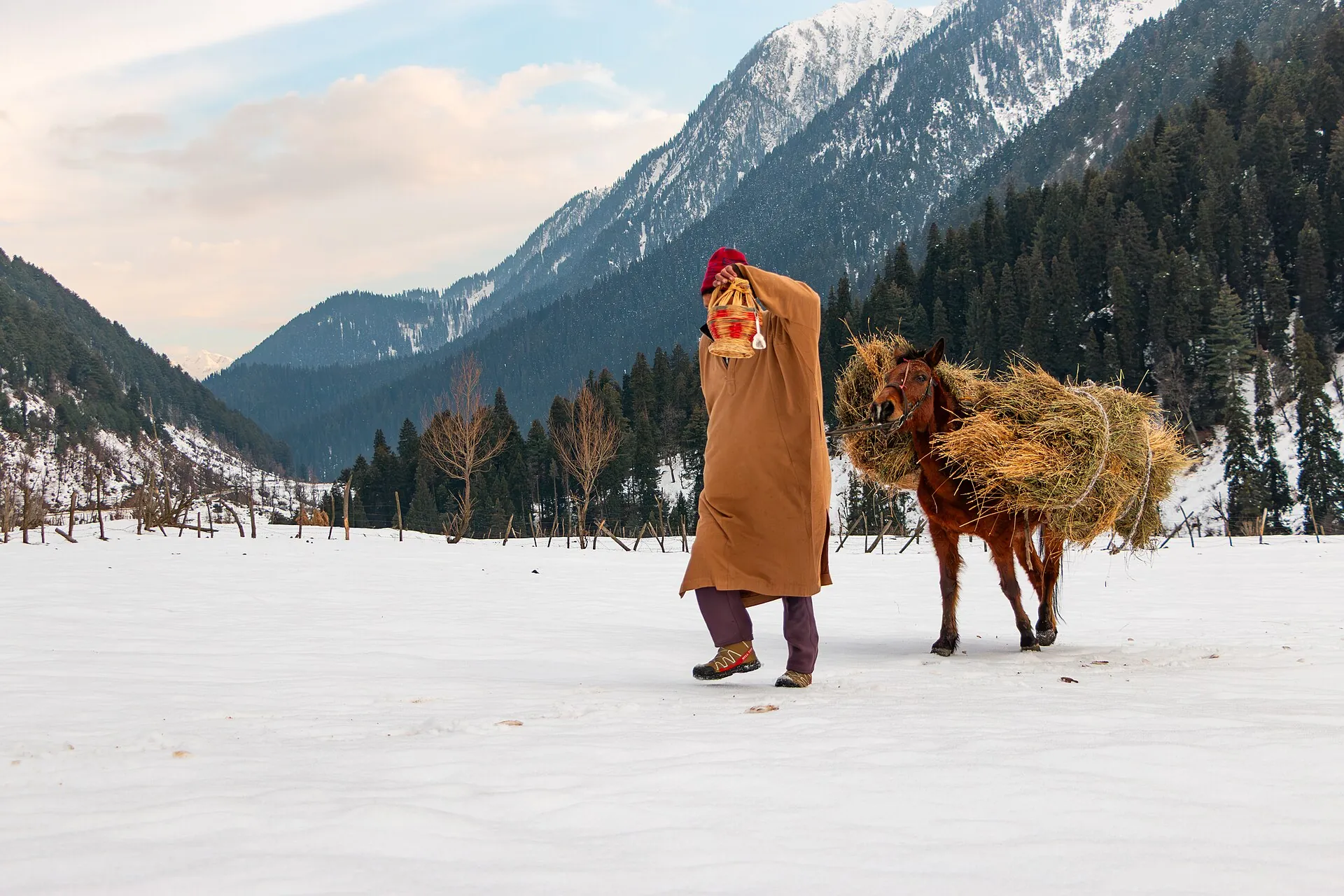 Local horseman in Aru Valley, Pahalgam