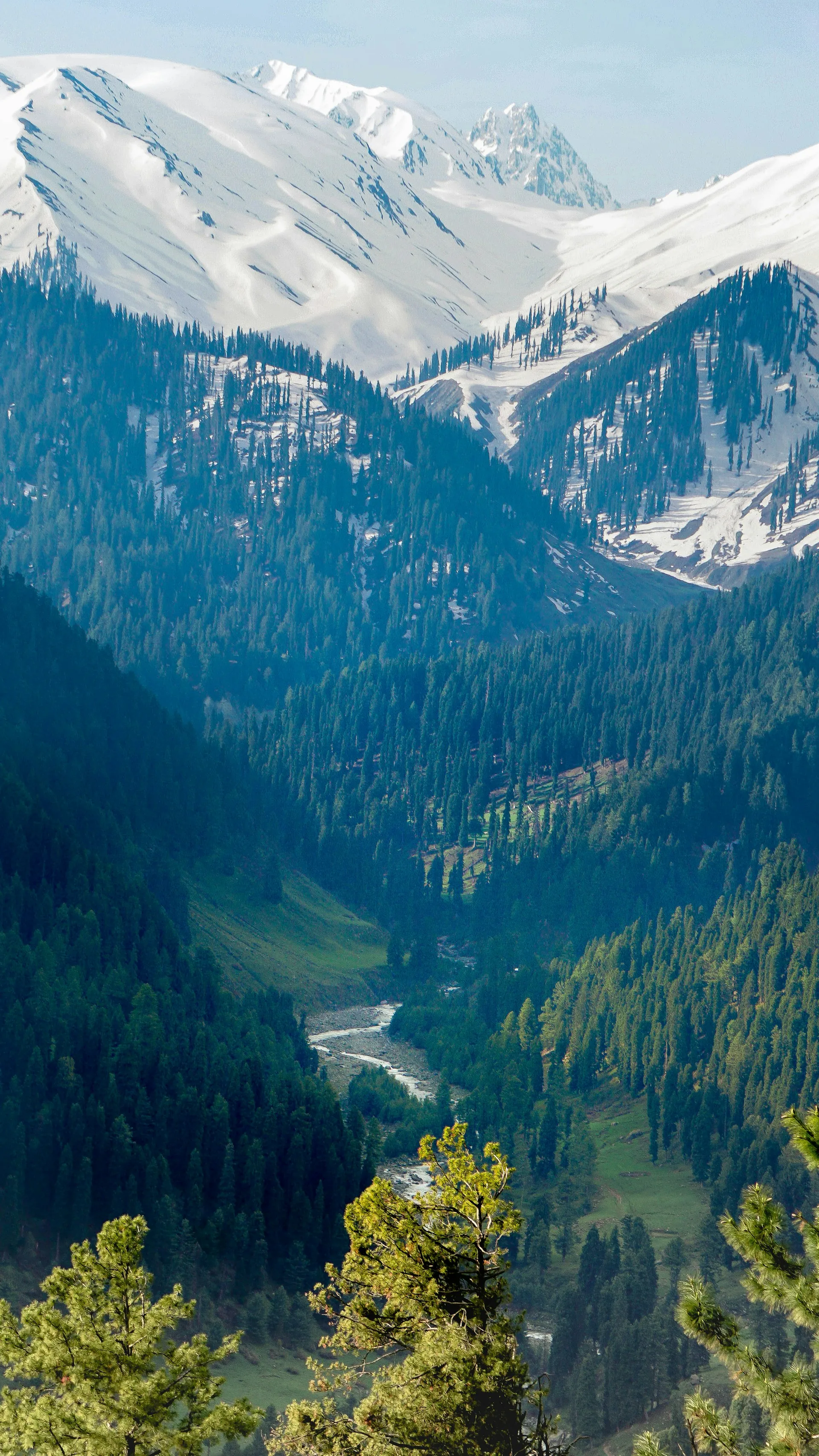 Emerald green mountains above a Kashmir valley river